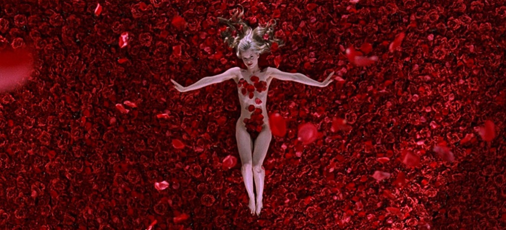 american-beauty-1.jpg?w=640